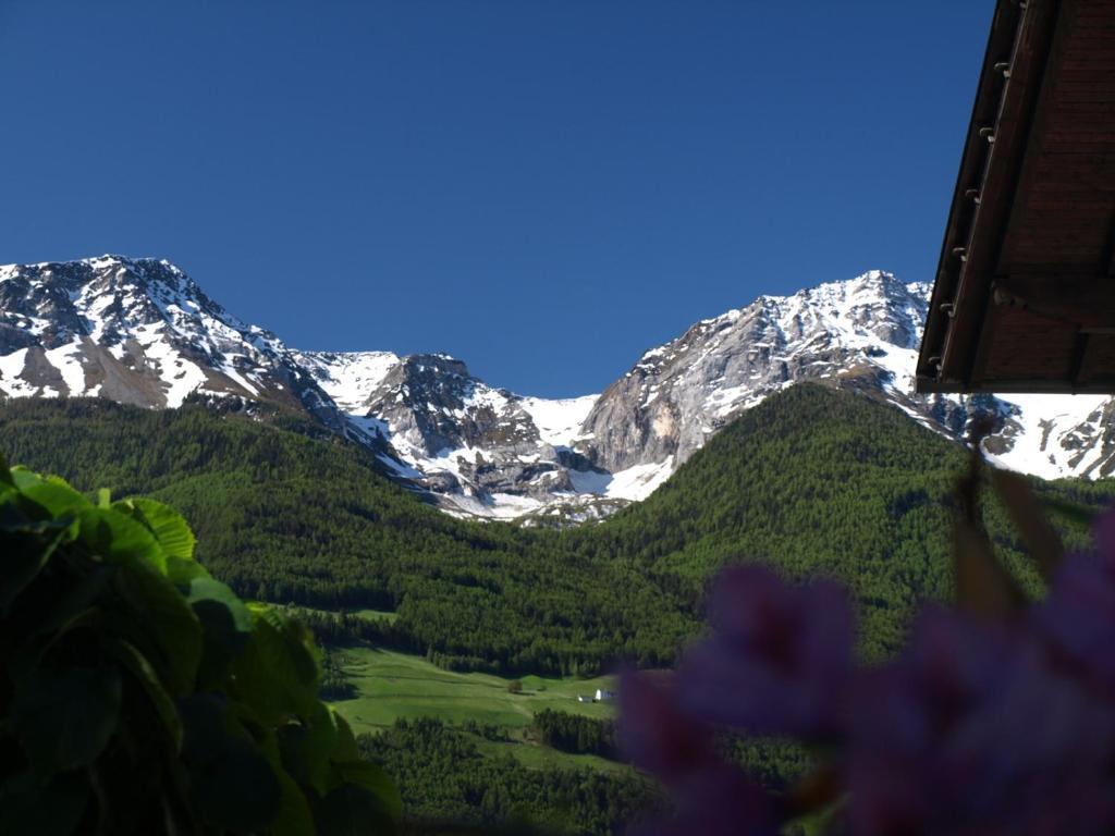 Feldgaertenhof Силандро Экстерьер фото